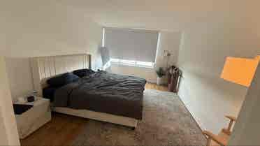 Looking for a female roommate