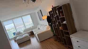 Looking for a female roommate
