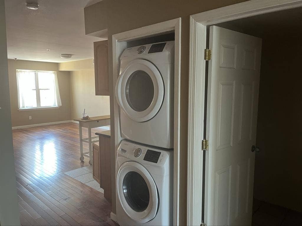 Human with cat seeks 2 roommates