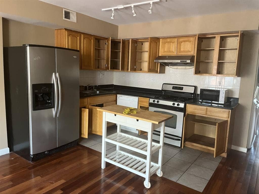 Human with cat seeks 2 roommates