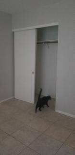 Roommate wanted!