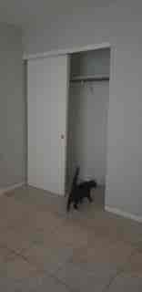 Roommate wanted!