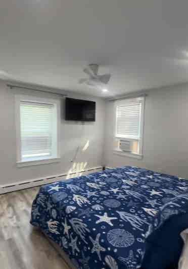 Need roomate in Middleton