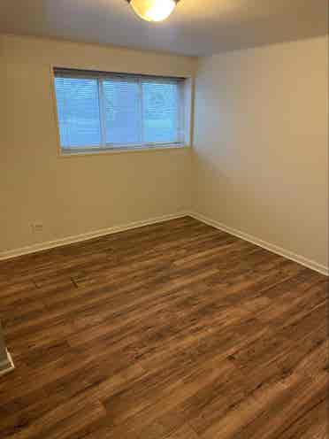 Renovated basement apartment Niles