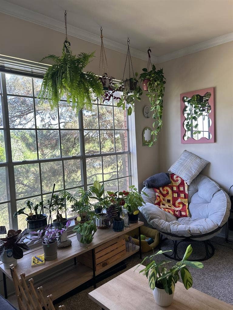 Roommate needed!