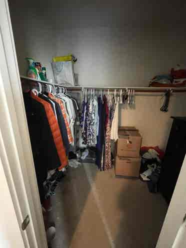 looking for roommate (girls only)