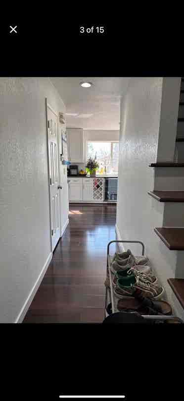 Beautiful newly remodeled home