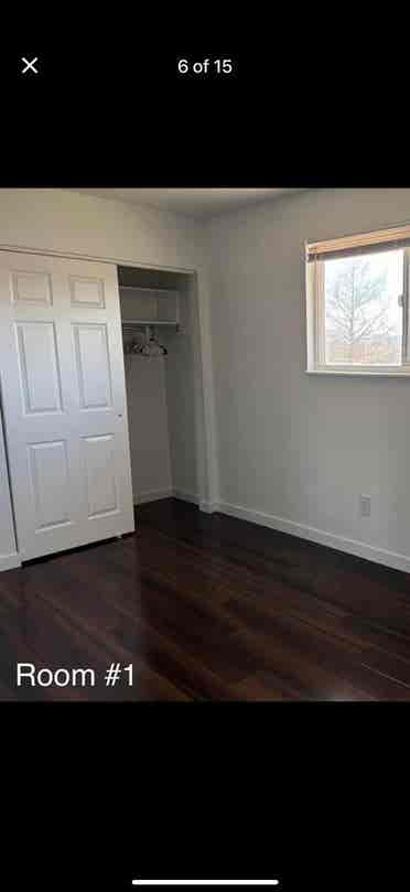 Beautiful newly remodeled home