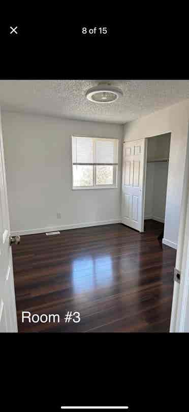 Beautiful newly remodeled home