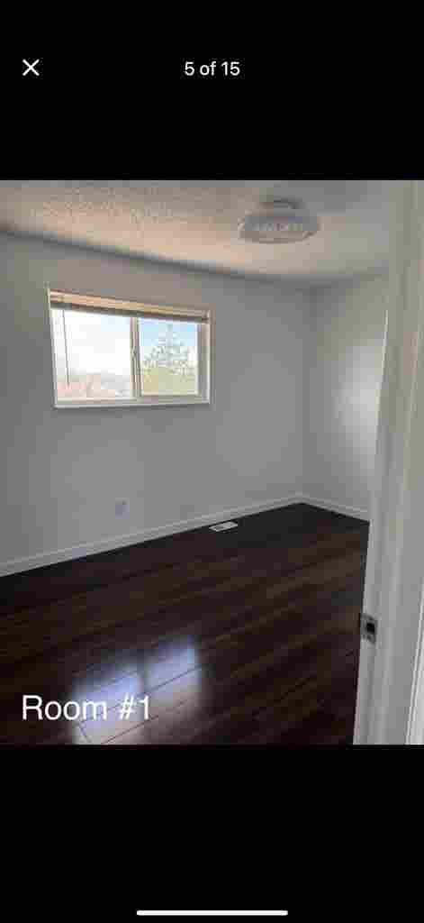 Beautiful newly remodeled home