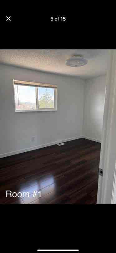 Beautiful newly remodeled home