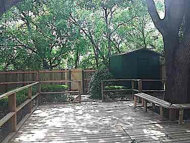 Room/Extra Room – NW San Antonio