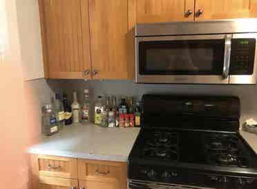 Female Roommate Needed!