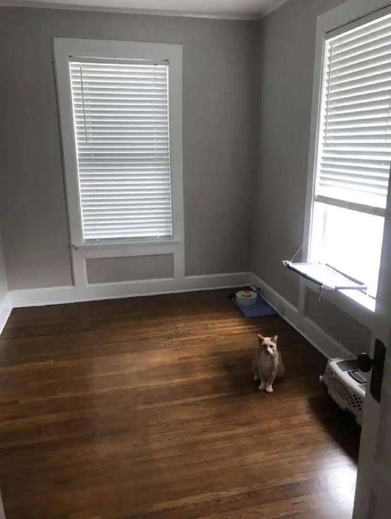 Female Roommate Needed!