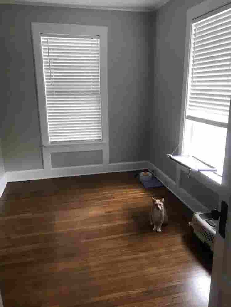 Female Roommate Needed!
