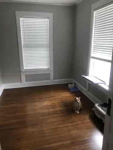 Female Roommate Needed!