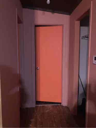Looking for an easy going roommate.
