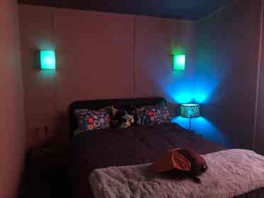 Share my cozy 
davie home
