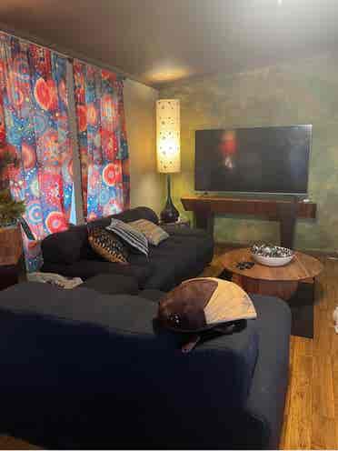 Share my cozy 
davie home