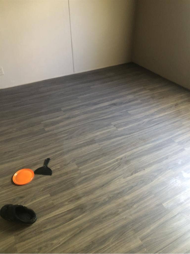Looking for an easy going roommate.