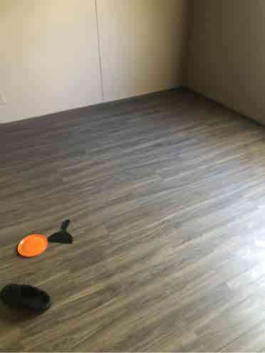 Looking for an easy going roommate.