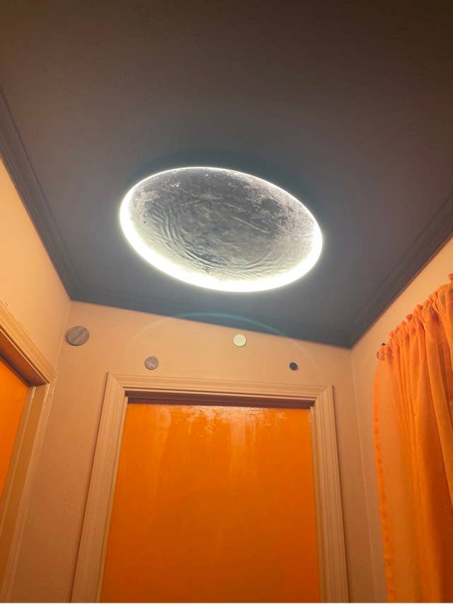 Share my cozy
davie home