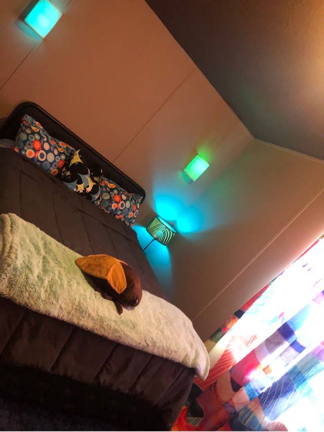 Share my cozy
davie home