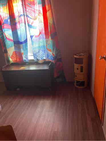 Cozy home to share in davie
