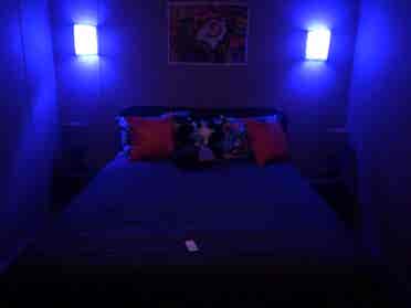 Share my cozy 
davie home