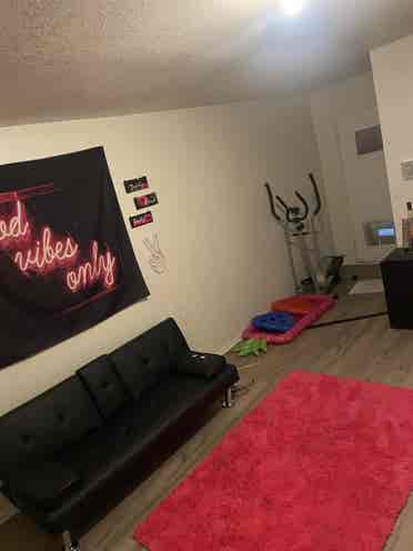 Cute spacious apartment, nice area
