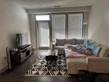 Need Roommate(s) for Luxury Apt