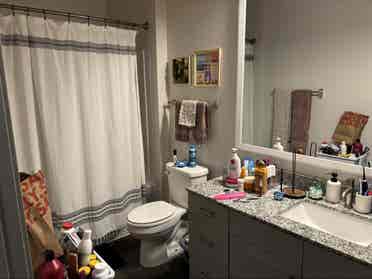 Need Roommate(s) for Luxury Apt