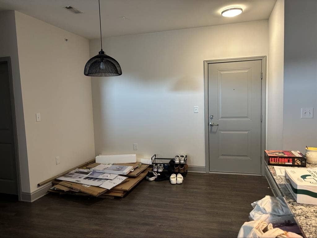Need Roommate(s) for Luxury Apt