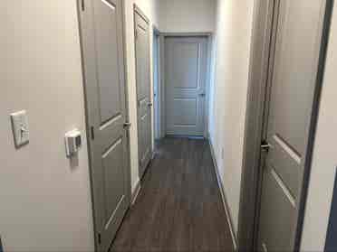 Need Roommate(s) for Luxury Apt