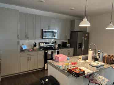 Need Roommate(s) for Luxury Apt