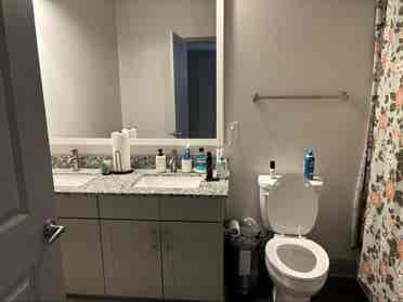 Need Roommate(s) for Luxury Apt