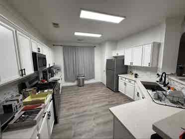 Roommate for house