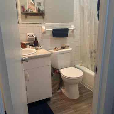 Sublease Tenant- master bedroom