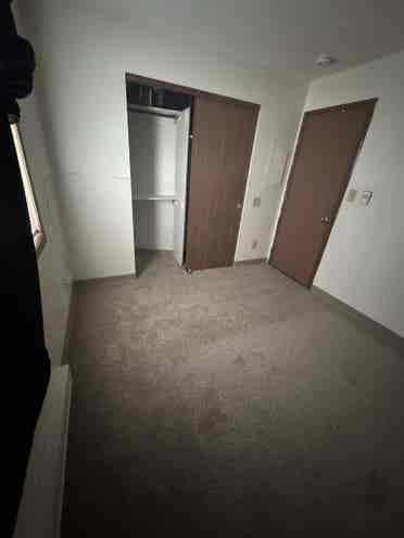 Looking for roommate till September
