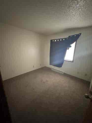 Looking for roommate till September