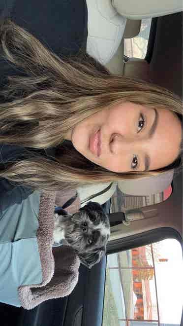 looking for a roomate