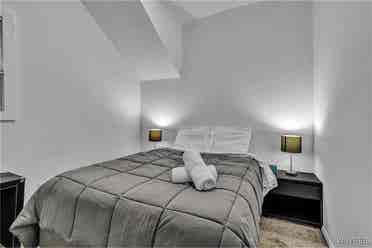 House for rent in downtown buffalo