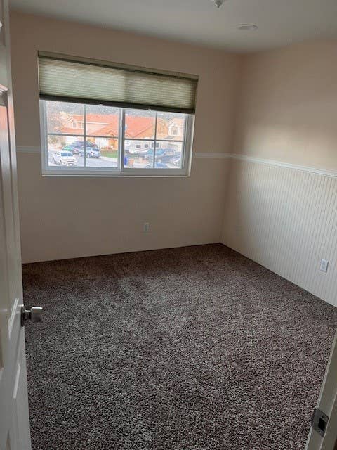 Roommate needed