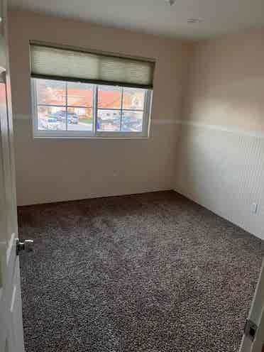 Roommate needed