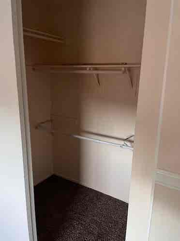 Roommate needed