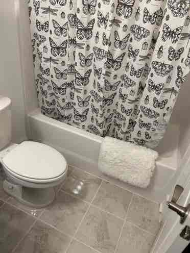 West Columbia room rental