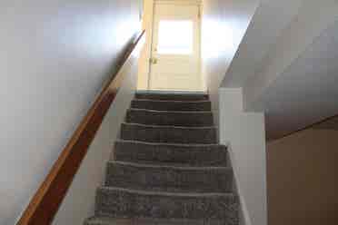 Looking for roommates