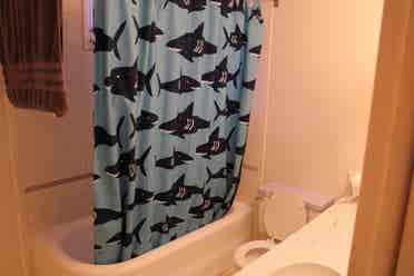 Looking for roommates