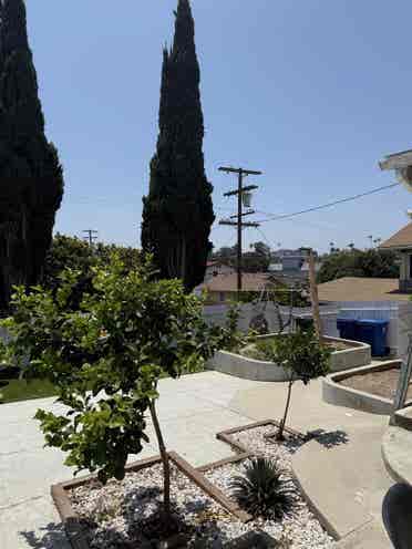 Small Room Echo Park $