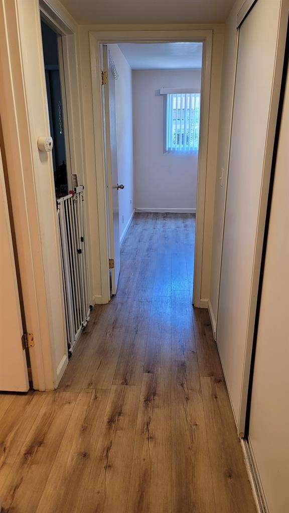ISO Housemate for d/t Lafayette apt